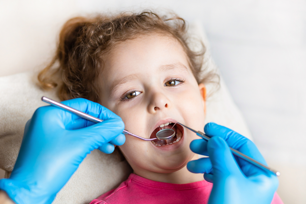 Pediatric Dentist Renton
